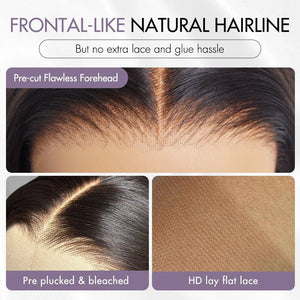 100% Human Hair HD Lace Super Natural Ombre Brown Silky Straight Long Wig - Wigtrends