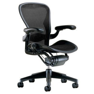 Aeron Executive Office Chair - Stainless Steel, Size B - Fully Adjustable Arms - lumbar Support Open Box - Wigtrends