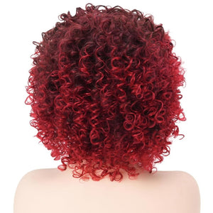 African short curly gray wig with bangs synthetic heat - resistant hair - Wigtrends