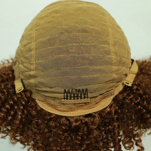 Afro Kinky Curly Lace Front Wig - Wigtrends