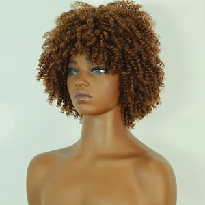 Afro Kinky Curly Lace Front Wig - Wigtrends