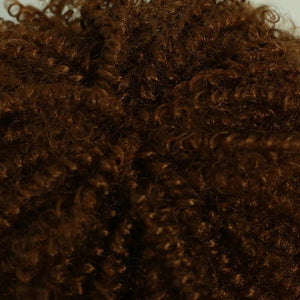 Afro Kinky Curly Lace Front Wig - Wigtrends