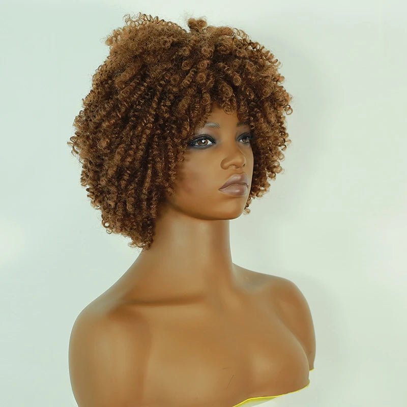Afro Kinky Curly Lace Front Wig - Wigtrends