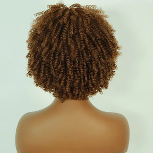 Afro Kinky Curly Lace Front Wig - Wigtrends
