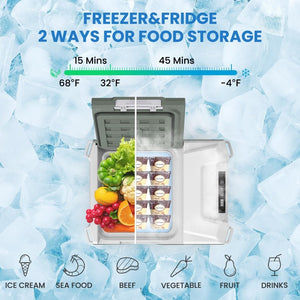 Alpicool 12 Volt Refrigerator 12V Car Fridge 10 Quart Small Car Refrigerator Portable Fridge 12/24V DC 110~240 Volt AC for Truck RV Camper SUV Portable Freezer Electric Cooler for Camping ( - 4℉ - 68℉) - Wigtrends