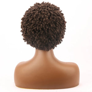Brown Kinky Curly Synthetic Short Bob Wig - Wigtrends
