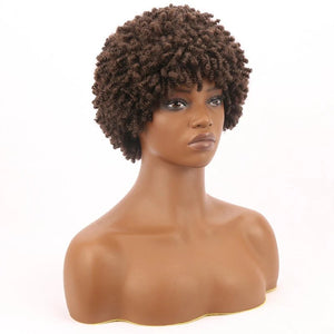 Brown Kinky Curly Synthetic Short Bob Wig - Wigtrends