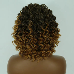 Cropped Curly Synthetic Hair Wig - Wigtrends