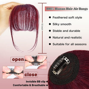 Hair Piece Clip in Bangs Human Hair 360° Cover Wipsy Bangs Hair Toppers for Women - Wigtrends