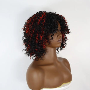 Kinky Curly Wig Synthetic Short Hair Lace Front Wig - Wigtrends