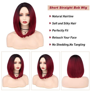 Quick Wig Ombre Wig Short Straight Bob Wig Black to Grey Wig Colorful Wigs for Girls and Women Shoulder Length Synthetic Halloween Cosplay Party Wigs 14 Inches - Wigtrends