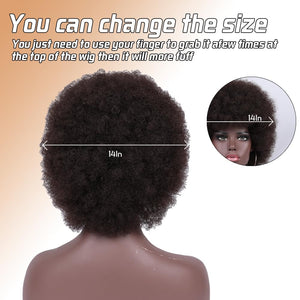 Short Curly Wigs for Black Women Synthetic Hair Heat Resistant Fluffy Natura Wigs for African American Women (Black) - Wigtrends