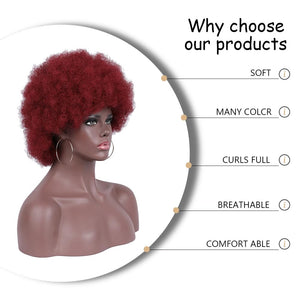 Short Curly Wigs for Black Women Synthetic Hair Heat Resistant Fluffy Natura Wigs for African American Women (Black) - Wigtrends