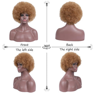 Short Curly Wigs for Black Women Synthetic Hair Heat Resistant Fluffy Natura Wigs for African American Women (Black) - Wigtrends