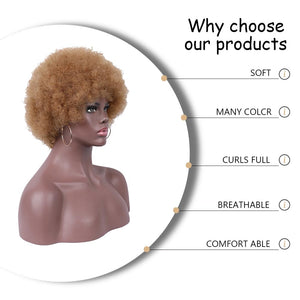 Short Curly Wigs for Black Women Synthetic Hair Heat Resistant Fluffy Natura Wigs for African American Women (Black) - Wigtrends
