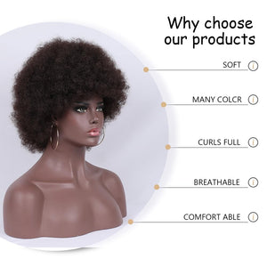 Short Curly Wigs for Black Women Synthetic Hair Heat Resistant Fluffy Natura Wigs for African American Women (Black) - Wigtrends