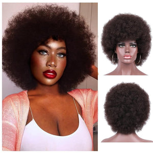 Short Curly Wigs for Black Women Synthetic Hair Heat Resistant Fluffy Natura Wigs for African American Women (Black) - Wigtrends
