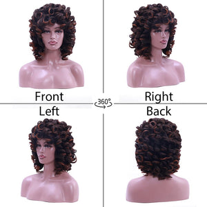 Short Curly Wigs for Black Women Synthetic Hair Heat Resistant Fluffy Natura Wigs for African American Women (Black) - Wigtrends
