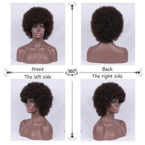 Short Curly Wigs for Black Women Synthetic Hair Heat Resistant Fluffy Natura Wigs for African American Women (Black) - Wigtrends