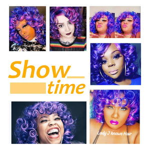 Short Curly Wigs for Black Women Synthetic Hair Heat Resistant Fluffy Natura Wigs for African American Women (Black) - Wigtrends