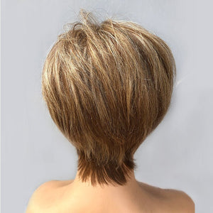 Style Pixie Cut Wig | Brown Mixed Blonde Short Layered Straight Human Hair HD Lace Wig With Bangs - Wigtrends
