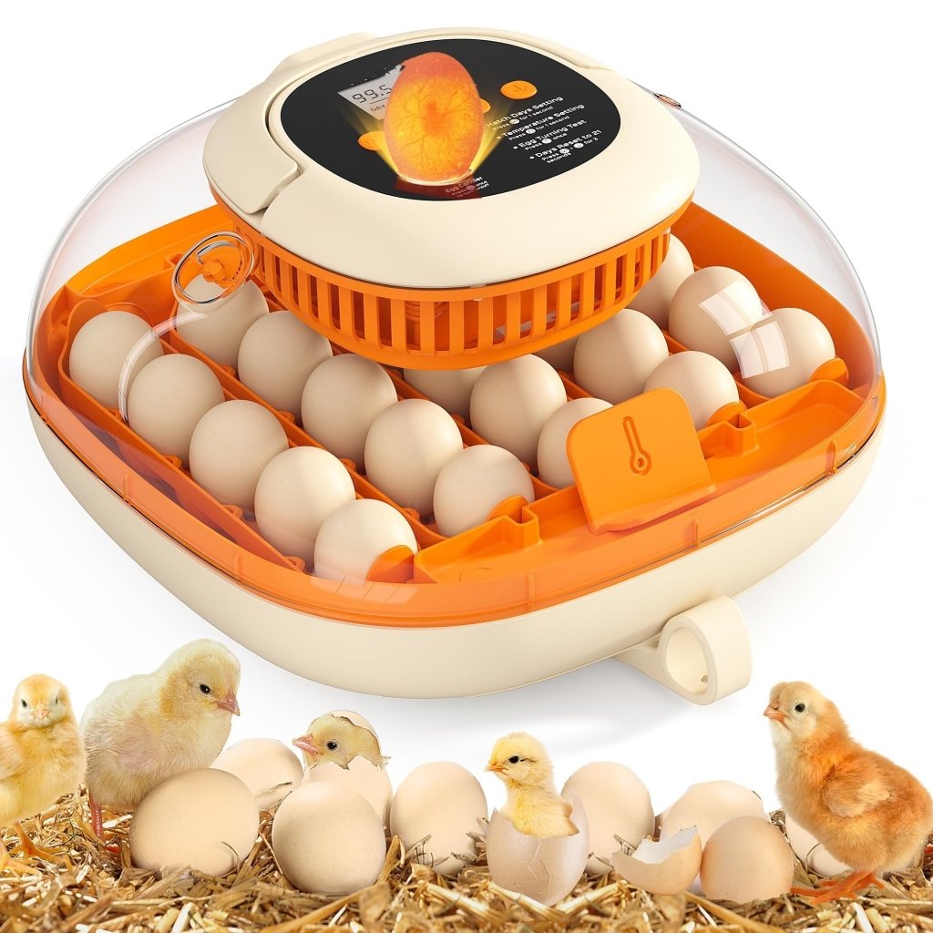 [2024 Upgrade] 25 Egg Incubator, Automatic Egg Turner with Thermometer Seat and Humidity Control, Egg Candler, 360° View with Clear Window, Incubators for Hatching Chicks - Wigtrends