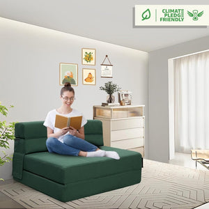 60 inch pull out sofa bed, memory foam sofa with 2 pillows, futon bed, guest bed and pull out sofa, - Wigtrends