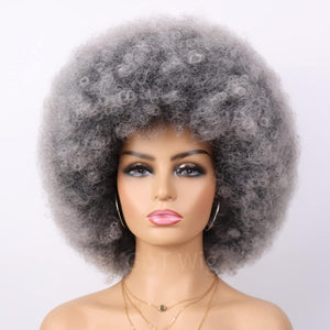 70s Dark Grey Afro Curly Wigs Synthetic Hair - Wigtrends