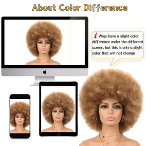 70s Dark Grey Afro Curly Wigs Synthetic Hair - Wigtrends