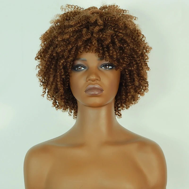 Afro Kinky Curly Lace Front Wig - Wigtrends