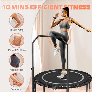 BCAN 450/550 LBS Foldable Mini Trampoline, 40"/48" Fitness Trampoline with Bungees, U Shape Adjustable Foam Handle, Stable & Quiet Exercise Rebounder for Adults Indoor/Outdoor Workout - Wigtrends