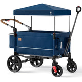 EVER ADVANCED Side - unzip Wagon Stroller for 2 Kids, Push Pull Stroller with Adjustable Handle, Easy Access Front Zipper Door, 5 - Point Harness Removable UV - Protection Canopy Shock - Absorbing Wheels,Grey - Wigtrends