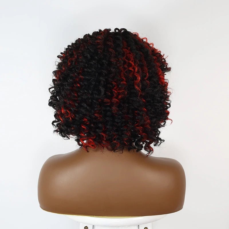 Kinky Curly Wig Synthetic Short Hair Lace Front Wig - Wigtrends