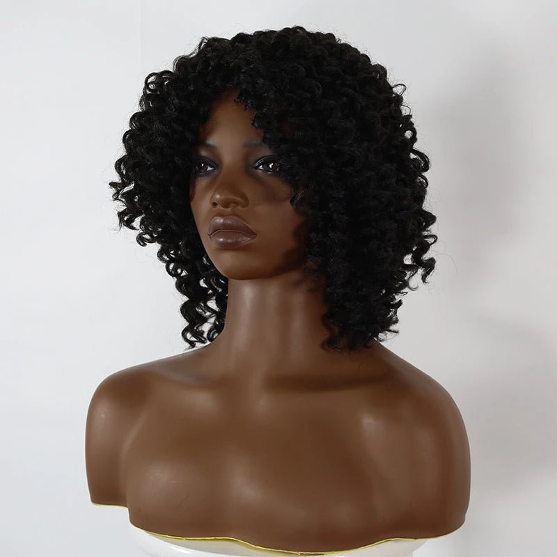 Kinky Curly Wig Synthetic Short Hair Lace Front Wig - Wigtrends