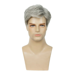 Men Wigs Short Silver Gray Wig Synthetic Heat Resistant Hair Wig - Wigtrends