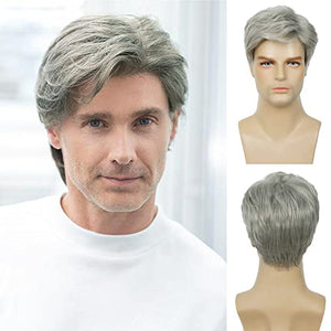 Men Wigs Short Silver Gray Wig Synthetic Heat Resistant Hair Wig - Wigtrends