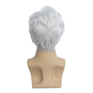 Men Wigs Short Silver Gray Wig Synthetic Heat Resistant Hair Wig - Wigtrends