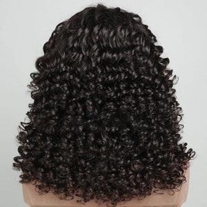 Natural Black Lace Front Fumi Curly Wavy Wigs - Wigtrends