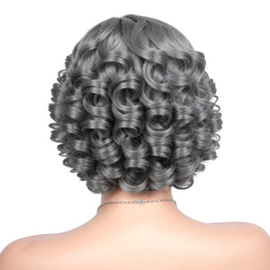 Salt And Pepper Glueless Side Part 5x5 Closure Lace Short Wigs Loose Wave Black Women Wigs - Wigtrends