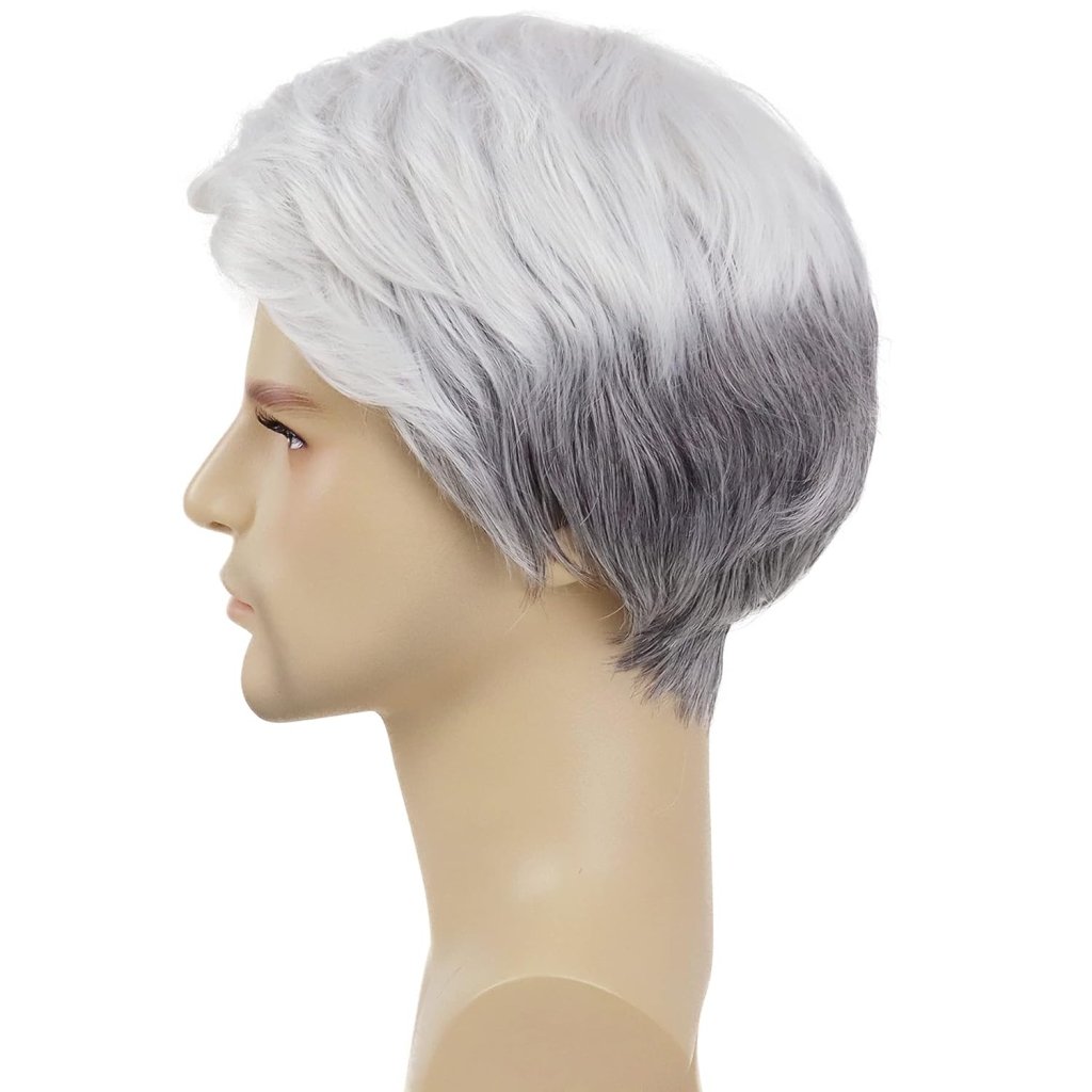 Short Silver Blanche Wig Older Man Wigs Guys Wig Synthetic Wig Seniors Hair - Wigtrends