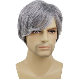 Short Silver Blanche Wig Older Man Wigs Guys Wig Synthetic Wig Seniors Hair - Wigtrends