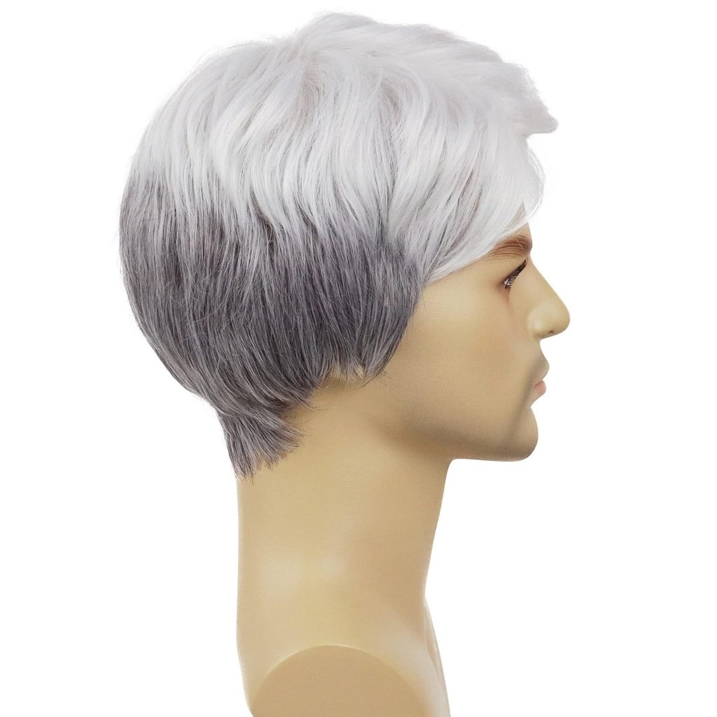 Short Silver Blanche Wig Older Man Wigs Guys Wig Synthetic Wig Seniors Hair - Wigtrends