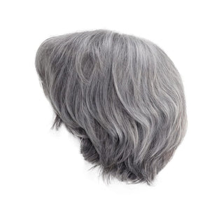 Short Silver Blanche Wig Older Man Wigs Guys Wig Synthetic Wig Seniors Hair - Wigtrends