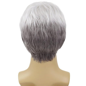 Short Silver Blanche Wig Older Man Wigs Guys Wig Synthetic Wig Seniors Hair - Wigtrends