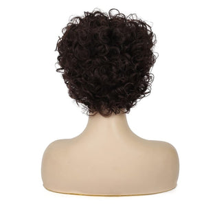 Short White Wigs for Women Synthetic Layered Curly Pixie Wig - Wigtrends