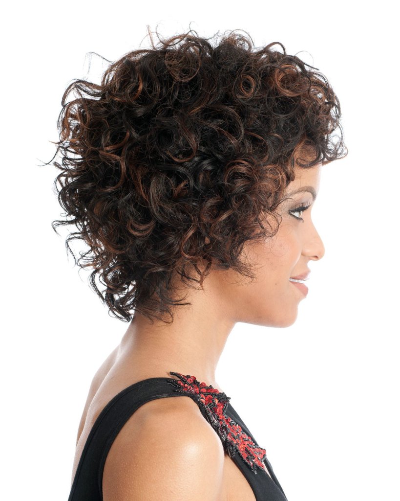 Wigstrends Curly Human Hair Wig 13x4 Transparent Lace Front Wigs - Wigtrends